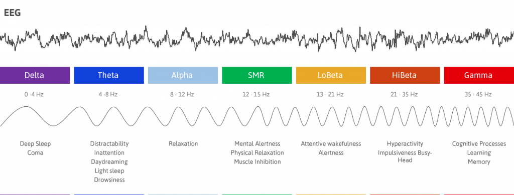 brainwaves