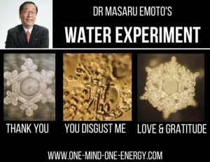 dr masaru emoto